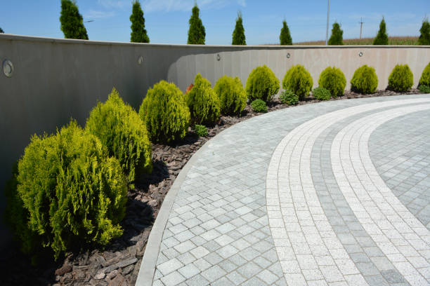 Best Residential Driveway Paver Services  in Black Canyon City, AZ